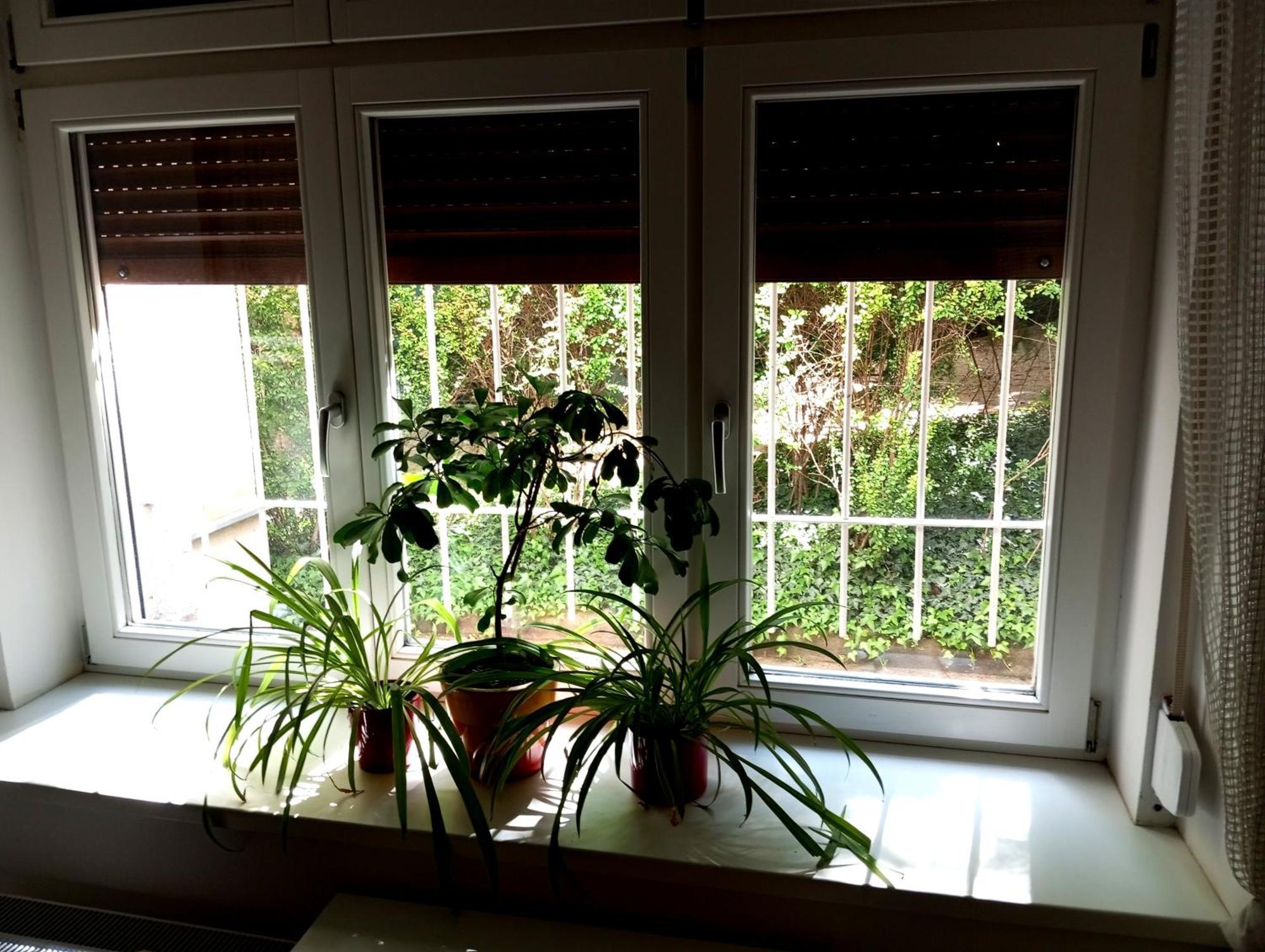 פראג Garden Apartment מראה חיצוני תמונה